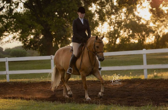 EKAHA Open Show